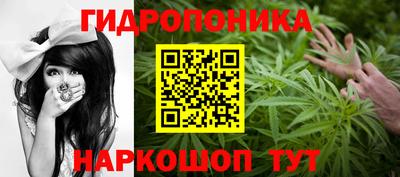 гидропоника Кунгур