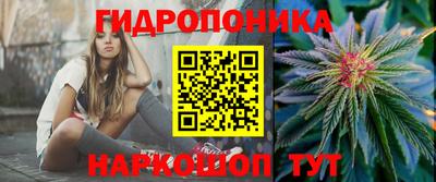 гидропоника Кунгур
